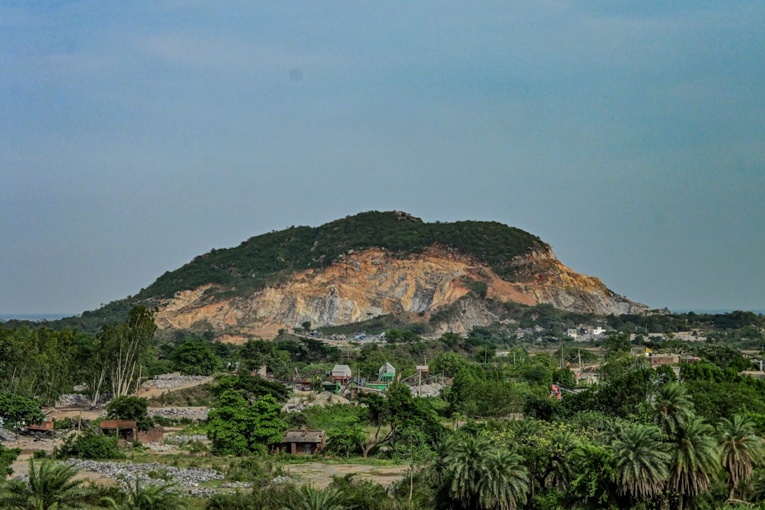 Gaur: The Wild Ox of Thailand's Forests