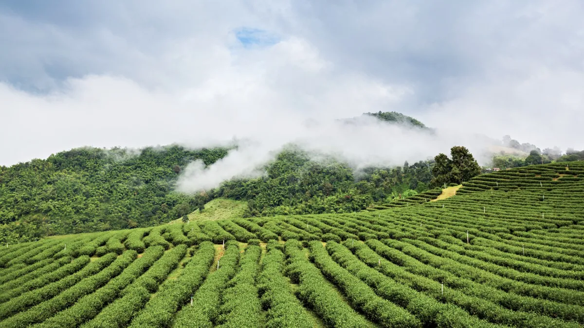 Gallery image for  Epic of The Northern Kingdoms (C-302)