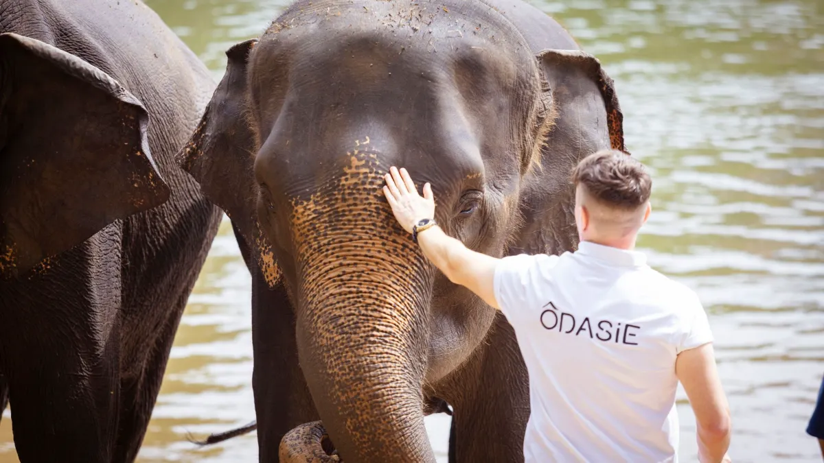 Gallery image for Gentle Giants & Jungle Rivers (C-102)