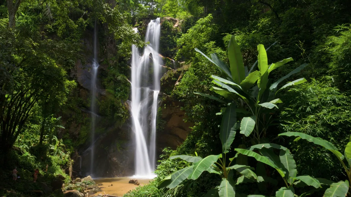 Gallery image for Mae Taeng - Jungle Trek (C-303)