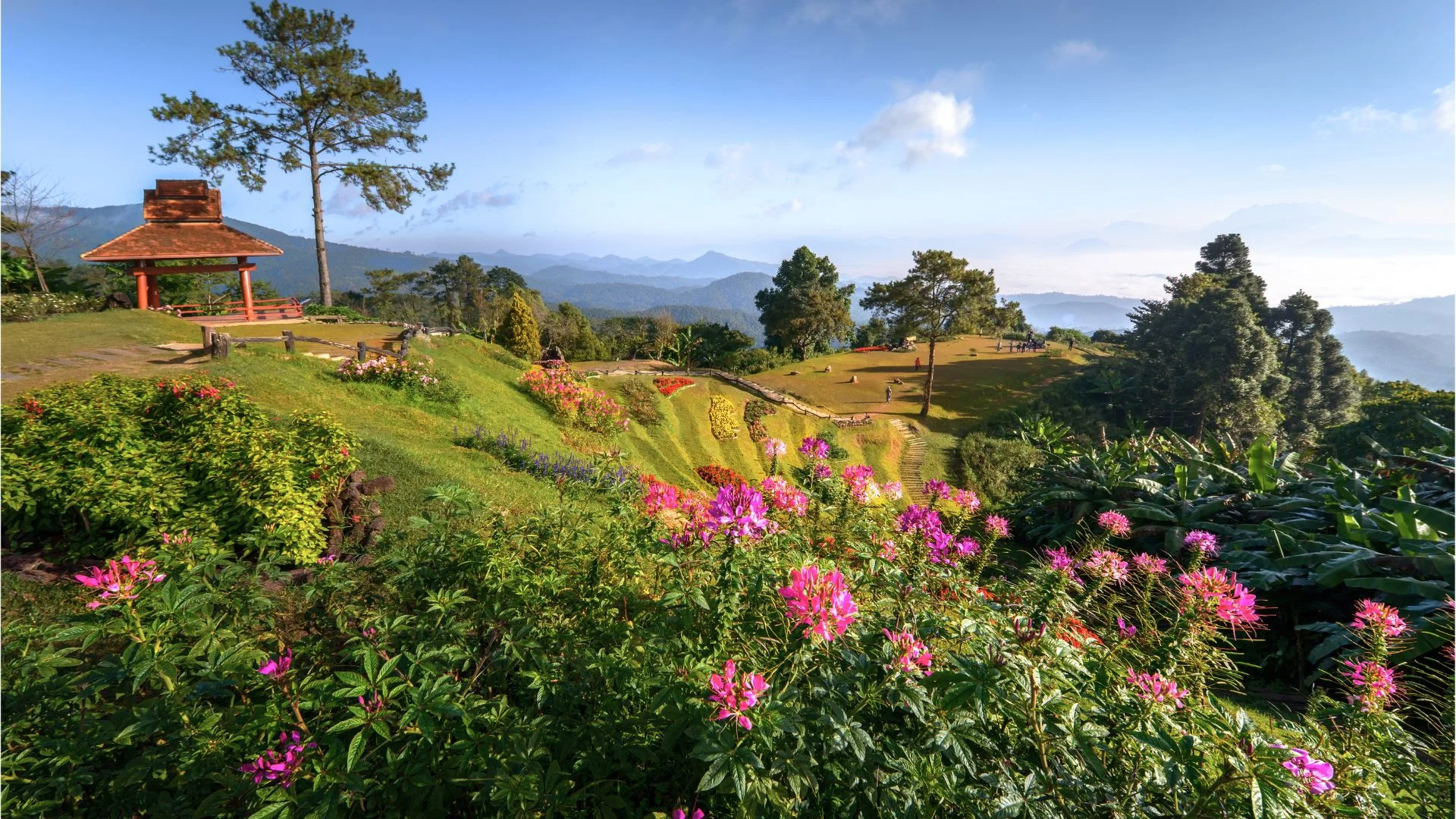 Groupe en randonnée sur un sentier ombragé à Mae Taeng, Chiang Mai, sous une canopée verdoyante