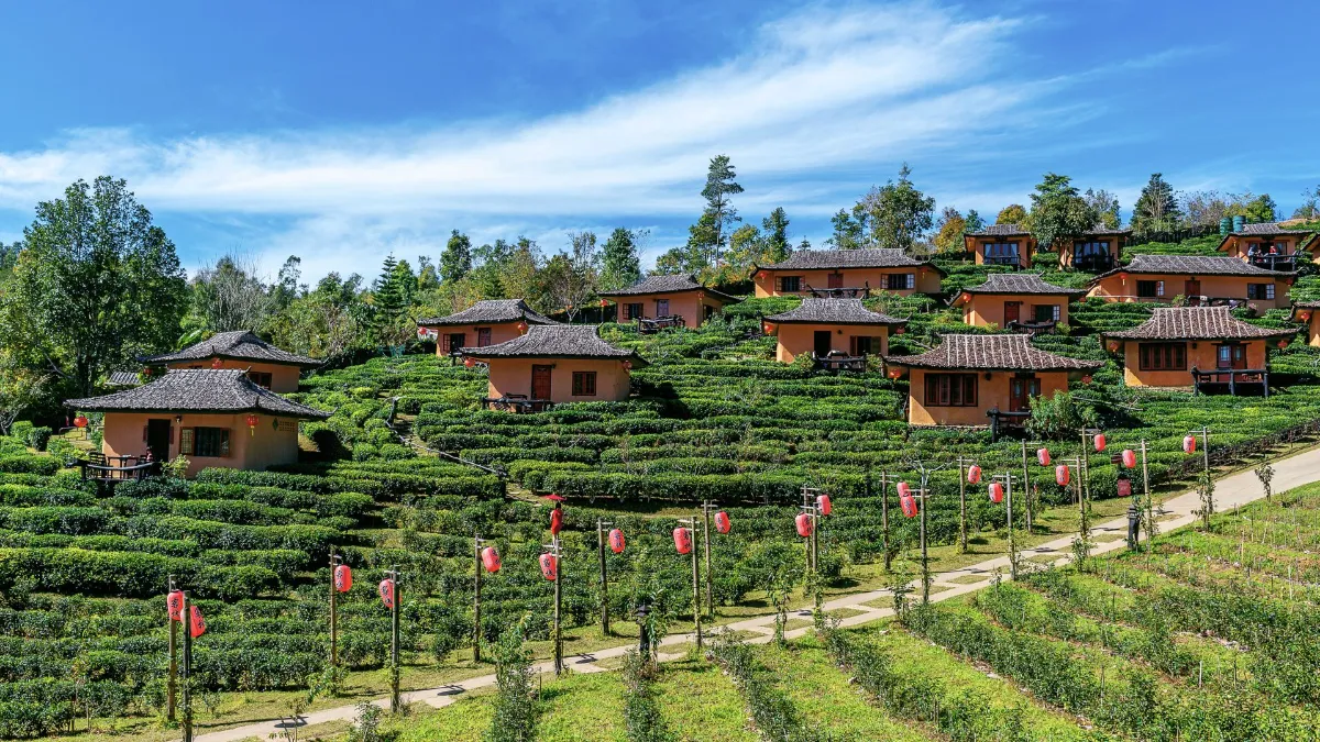 Gallery image for Northern Escape - Chiang Dao & Pai (C-301)