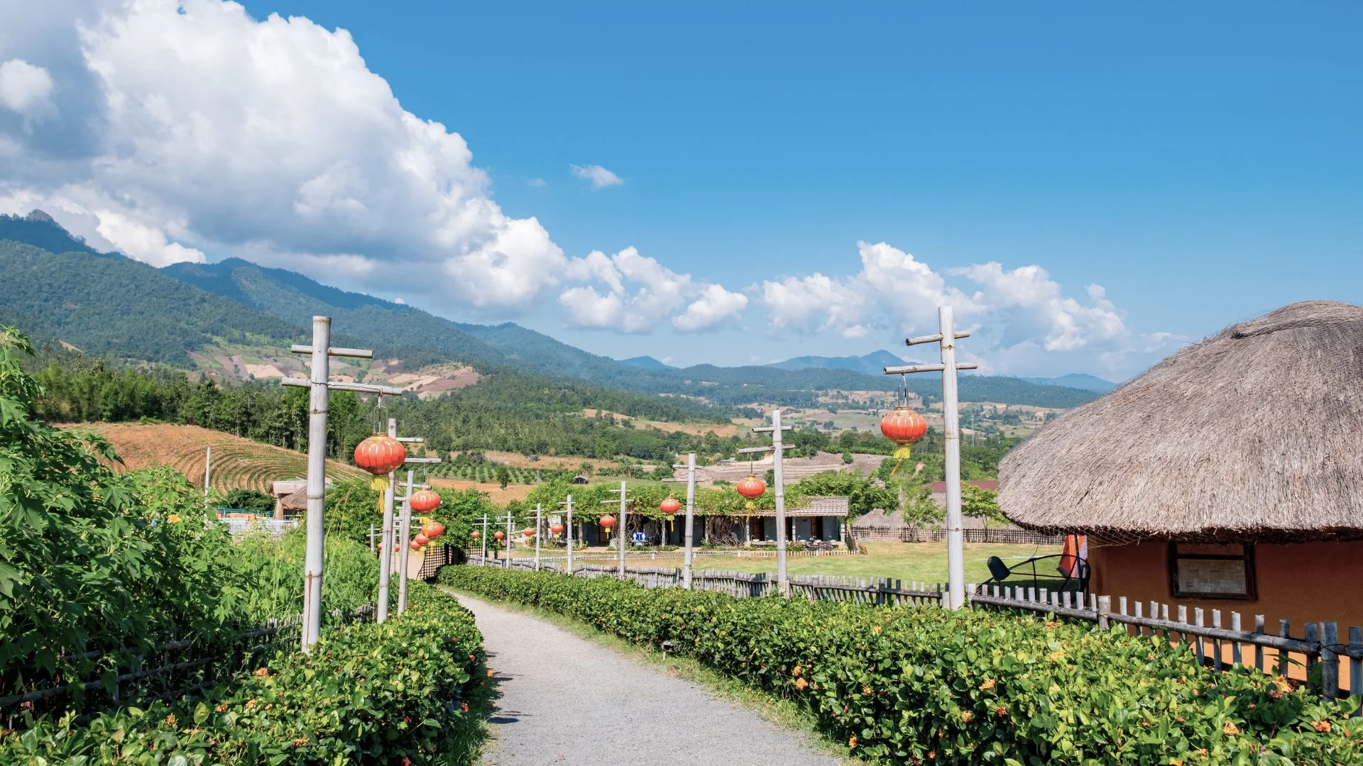 Image principale du tour