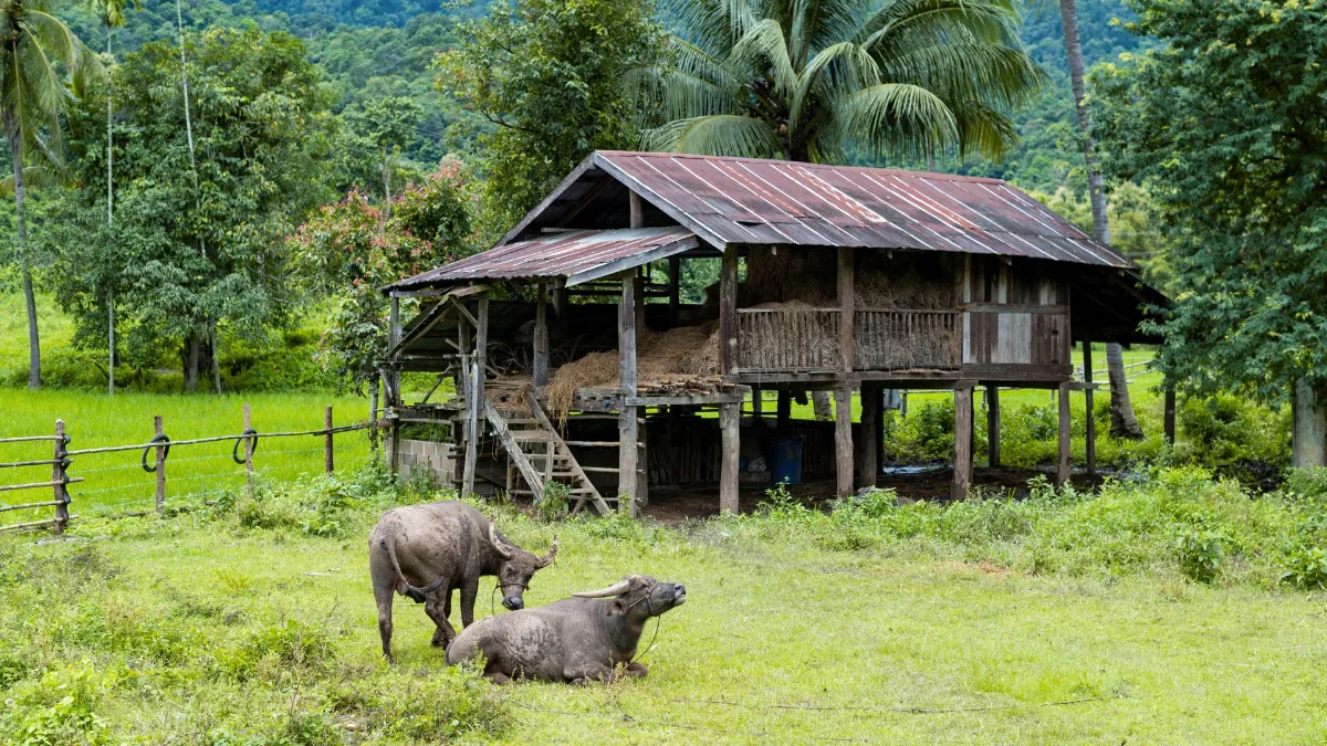 Gallery image for The Mae Hong Son Loop (C-401)