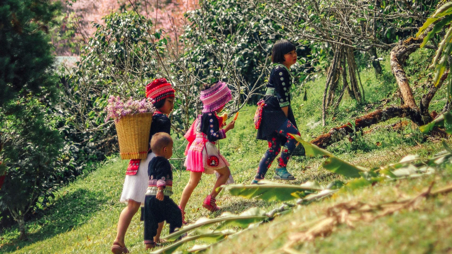 Image principale du tour