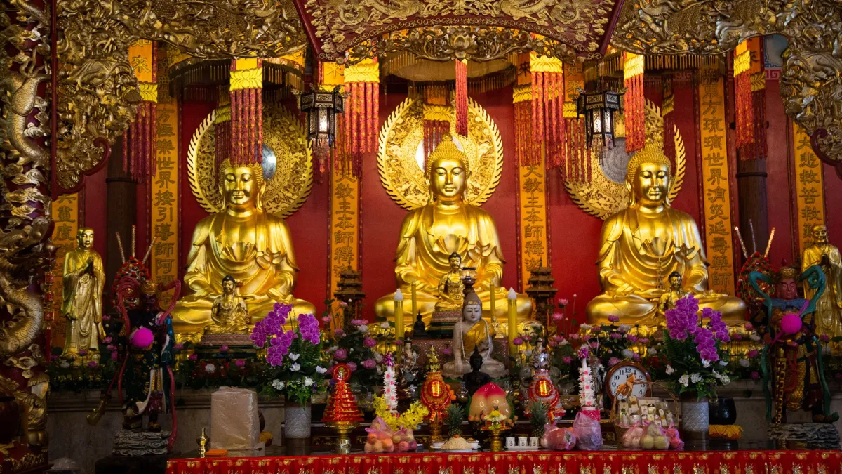 Gallery image for Relaxation & Elephants (K-301)