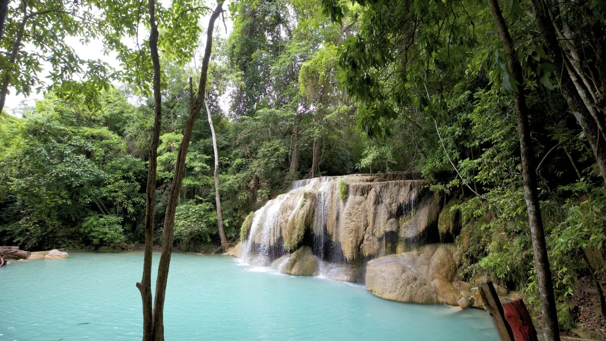 Gallery image for Relaxation & Nature (K-303)