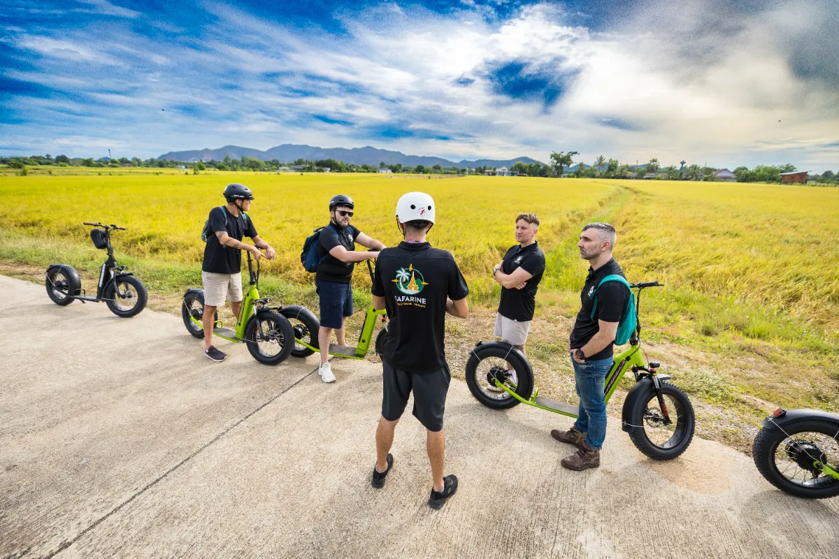 Gallery image for The Grand E-scooter Tour: City & Rice Fields (3h)